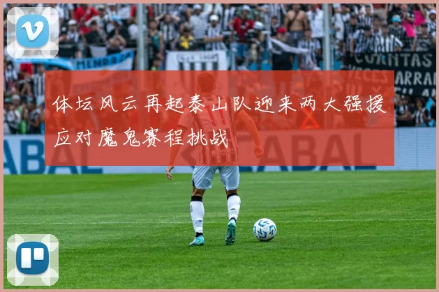 体坛风云再起泰山队迎来两大强援应对魔鬼赛程挑战
